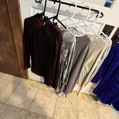 Lot 85 11 fitted long sleeve tops (S, M, L)
