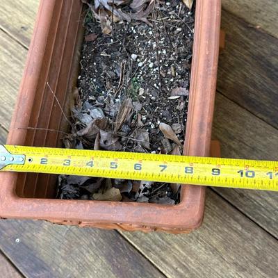 Vintage Terra cotta planters