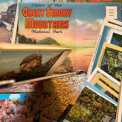 Lot of Vintage Postcards, NC, SC, VA