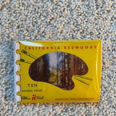 Lot of Vintage Postcards, Disneyland & Areas of CA