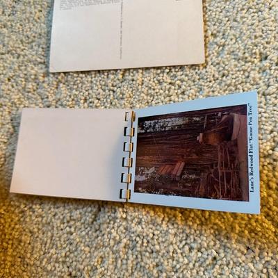 Lot of Vintage Postcards, Disneyland & Areas of CA