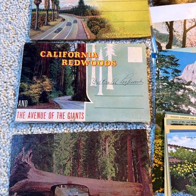 Lot of Vintage Postcards, Disneyland & Areas of CA