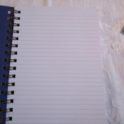 3 journals, 1 address book, 1 Mary Engelbreit pad