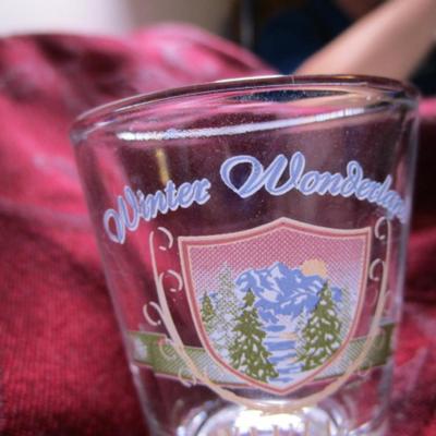 Winter Wonderland Ski Utah shot glass