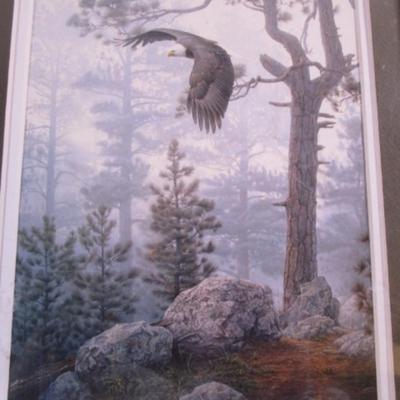Wood scene picture with eagle