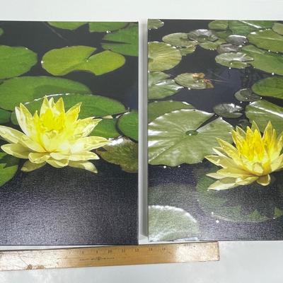 Set of Framed Photos: Lily Pond at the Huntington Gardens