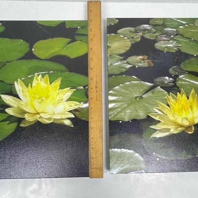 Set of Framed Photos: Lily Pond at the Huntington Gardens
