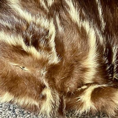 Stellar 1940s Spotted Skunk Scalloped Fur Cape