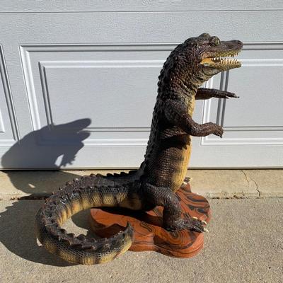 LOT 41 B: Dr. Gator USA Alligator Statue