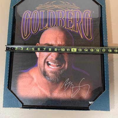 LOT 75 A: WWF Collection: Slam Cam, Posters, & More