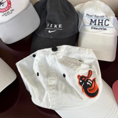 Lot of 14 Casual Hats Caps