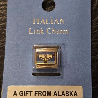 Charms & Pin - US