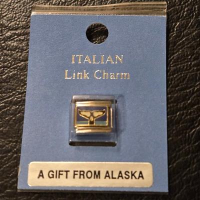 Charms & Pin - US
