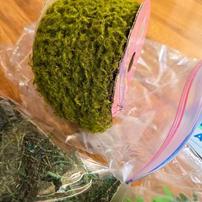 Fairy Garden Creation Lot