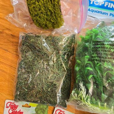 Fairy Garden Creation Lot
