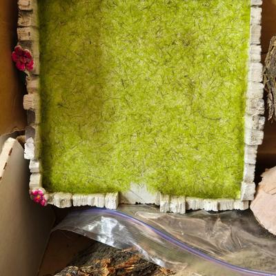 Fairy Garden Creation Supplies