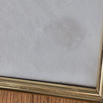 Antique PAUL PEEL Artist Signed & Titled Print ' The Young Biologist'