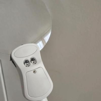 Ottolite Magnifying Light