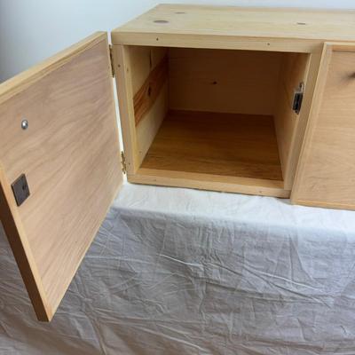 1092 Two Door Custom Made Cabinet