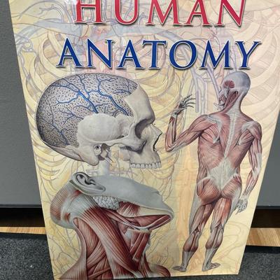 Very large Human Anatomy book