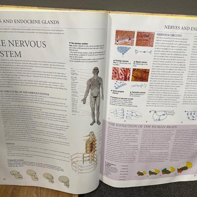 Very large Human Anatomy book