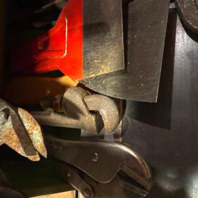 Green tray of various tools