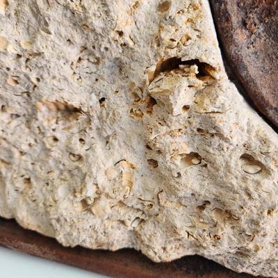 Artist Made Clock Metal Plate / Fossiliferous Limestone Sediment
