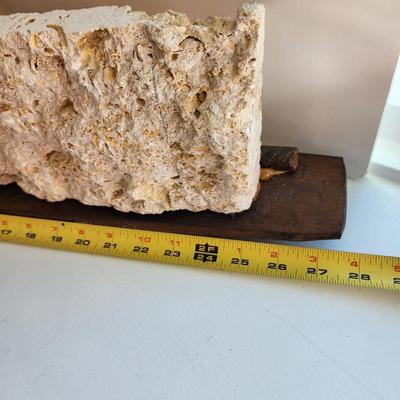 Artist Made Clock Metal Plate / Fossiliferous Limestone Sediment