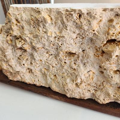 Artist Made Clock Metal Plate / Fossiliferous Limestone Sediment