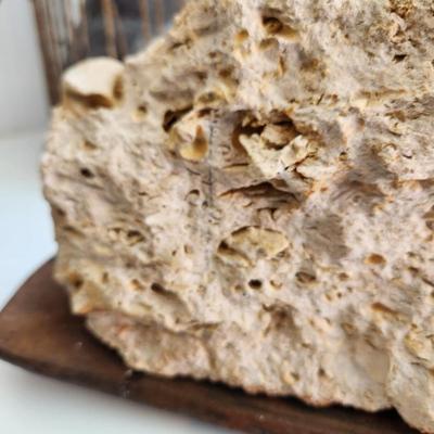 Artist Made Clock Metal Plate / Fossiliferous Limestone Sediment