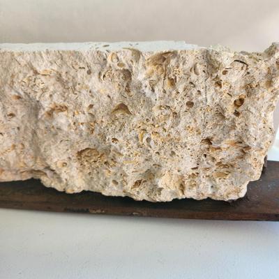 Artist Made Clock Metal Plate / Fossiliferous Limestone Sediment