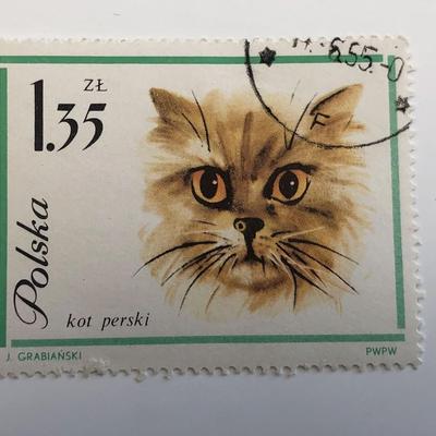 1964 Cat Stamp - Poland