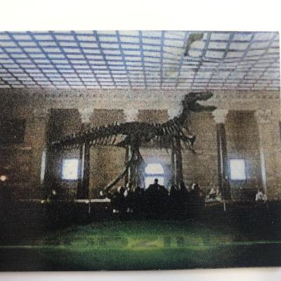 Godzilla 3-D Collectable card