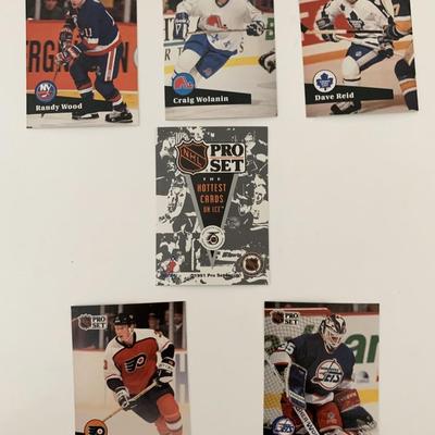 The Hottest Cards on Ice NHL Pro Set 