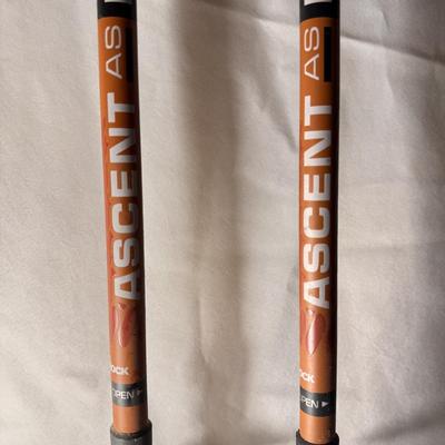 REI Retractable Trekking Poles (BD-DZ)
