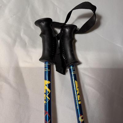 REI Retractable Trekking Poles (BD-DZ)