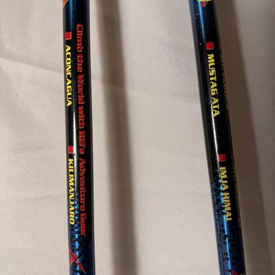 REI Retractable Trekking Poles (BD-DZ)