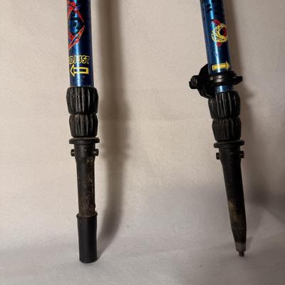 REI Retractable Trekking Poles (BD-DZ)
