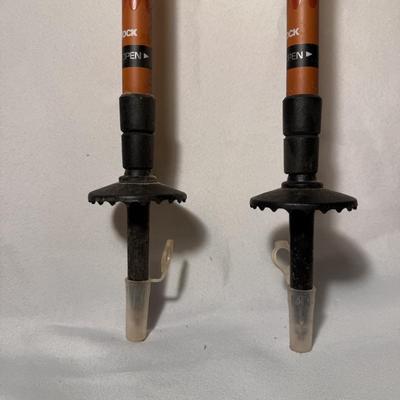 REI Retractable Trekking Poles (BD-DZ)