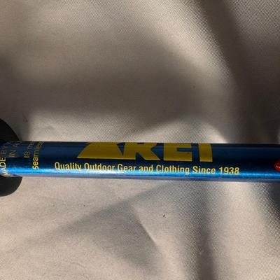 REI Retractable Trekking Poles (BD-DZ)