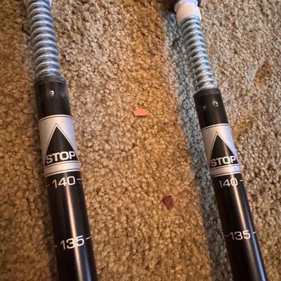 REI Retractable Trekking Poles (BD-DZ)