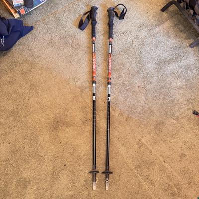 REI Retractable Trekking Poles (BD-DZ)
