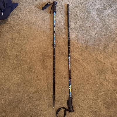 REI Retractable Trekking Poles (BD-DZ)
