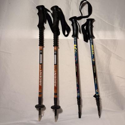 REI Retractable Trekking Poles (BD-DZ)
