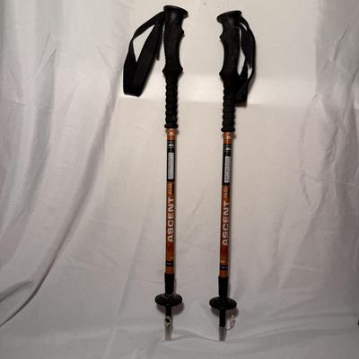 REI Retractable Trekking Poles (BD-DZ)