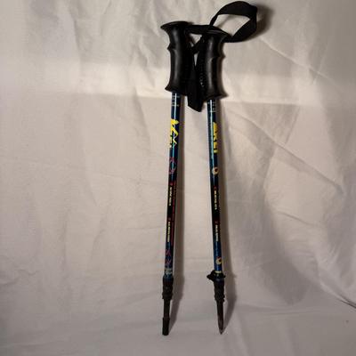 REI Retractable Trekking Poles (BD-DZ)