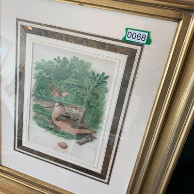 American Woodcock Chrome Lithograph Framed/Matted