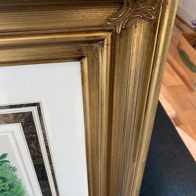 American Woodcock Chrome Lithograph Framed/Matted