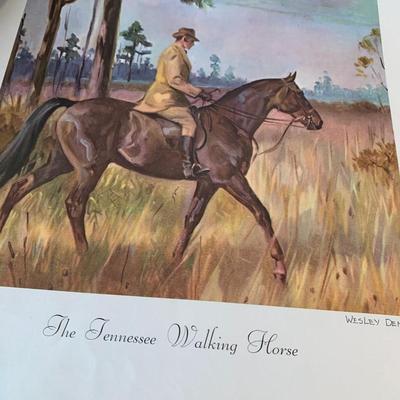 c.1952 Portfolio of Horses 1st Ed Color Lithos Portfolio