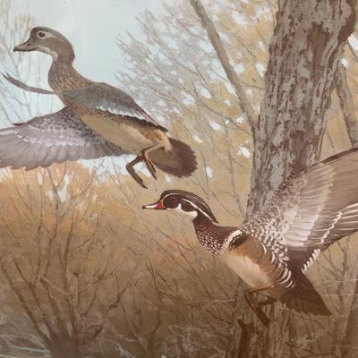 Lee LeBlanc Waterfowl Framed/Matted